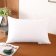 圣夫妮   SFN-185   48*74CM    亲肤舒弹枕 白色 (单位：个）