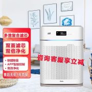 亚都 KJ500G-P4D 440*260*610mm 双滤芯  空气净化器 白色 （计价单位：台）