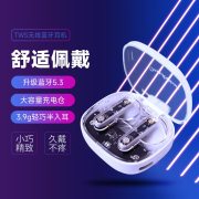 Only&Home  KL-970BT  蓝牙5.3 TWS无线蓝牙耳机 白色+透明（单位：个）