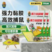 超威（SUPERB）  5片装  粘鼠板  （计价单位：盒）