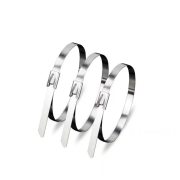 信志连成 304不锈钢扎带金属扎丝室户外耐高温防腐蚀 KM-5002 4.6*1500mm