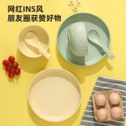 栢士德（BYSTON） BST-1023 芬华陶瓷套装 8寸盘2个+4.75寸碗2个+勺子2个 (计价单位：套)